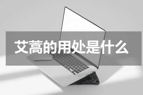 艾蒿的用处是什么