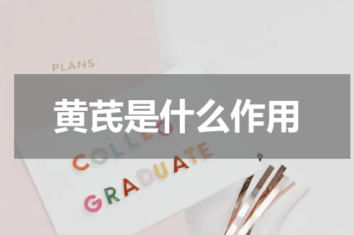 黄芪是什么作用
