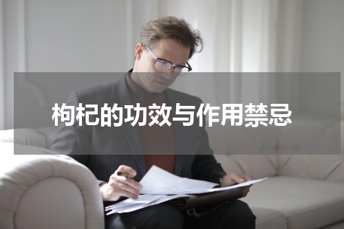 枸杞的功效与作用禁忌