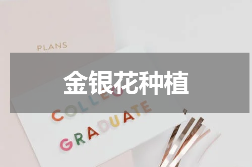 金银花种植