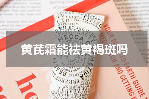 黄芪霜能祛黄褐斑吗