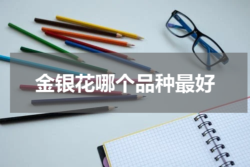 金银花哪个品种最好