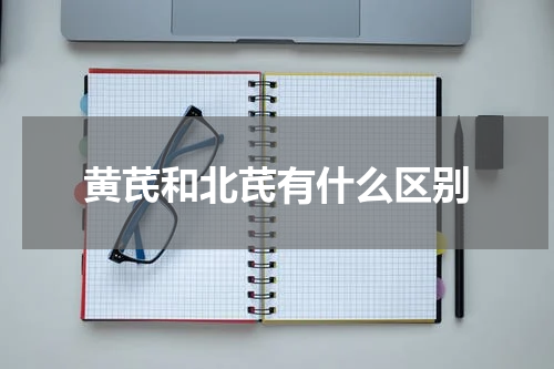黄芪和北芪有什么区别