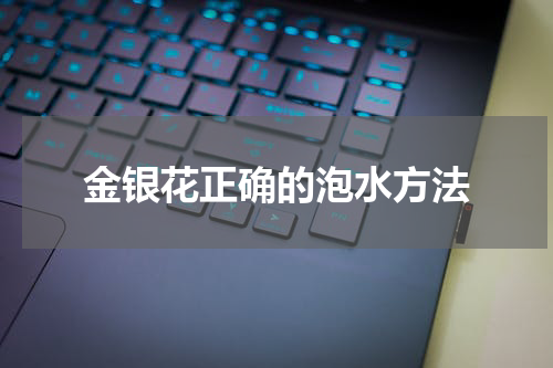 金银花正确的泡水方法