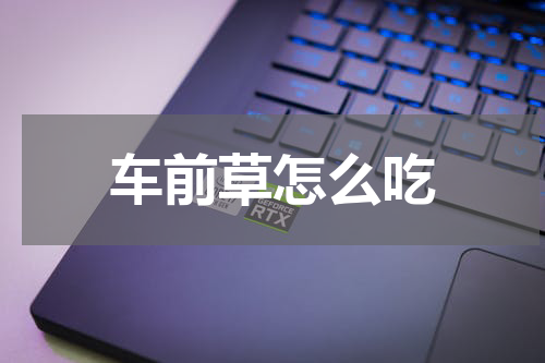 车前草怎么吃
