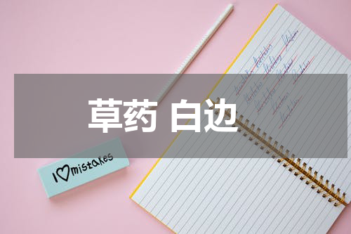 草药 白边