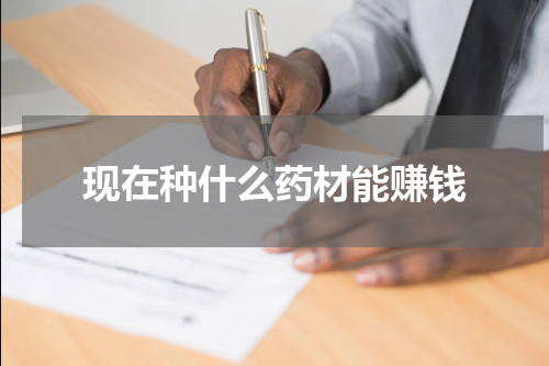 现在种什么药材能赚钱
