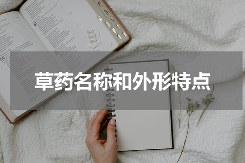 草药名称和外形特点