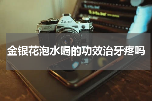 金银花泡水喝的功效治牙疼吗