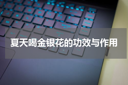夏天喝金银花的功效与作用