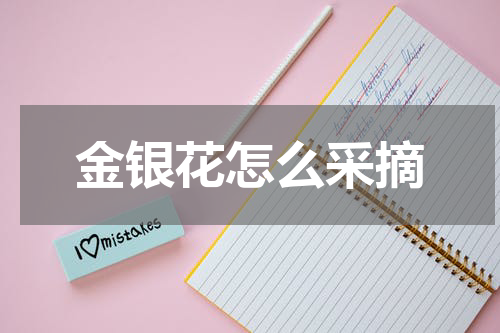 金银花怎么采摘
