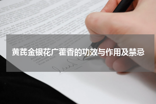 黄芪金银花广藿香的功效与作用及禁忌
