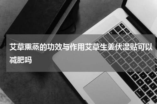 艾草熏蒸的功效与作用艾草生姜伏湿贴可以减肥吗