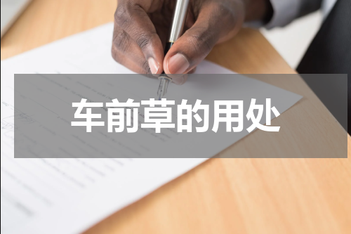 车前草的用处