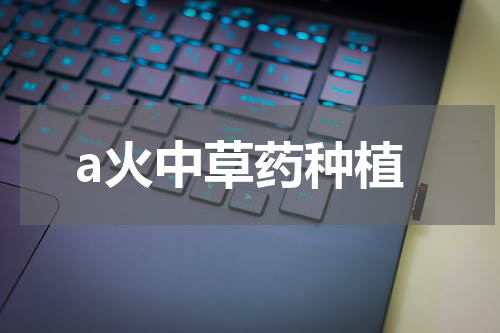 a火中草药种植