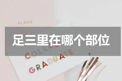 足三里在哪个部位