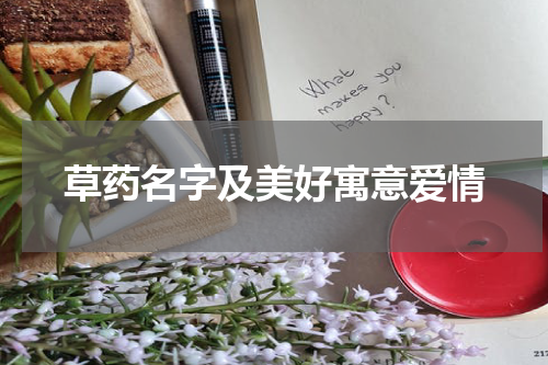 草药名字及美好寓意爱情