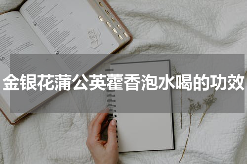 金银花蒲公英藿香泡水喝的功效