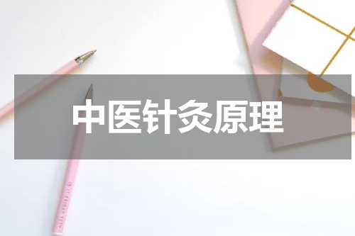 中医针灸原理