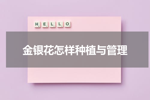 金银花怎样种植与管理