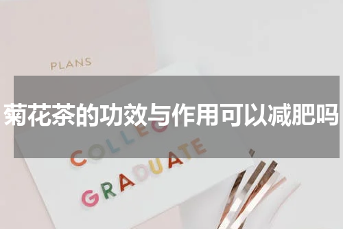 菊花茶的功效与作用可以减肥吗