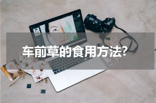 车前草的食用方法?