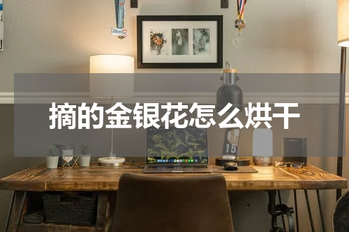 摘的金银花怎么烘干
