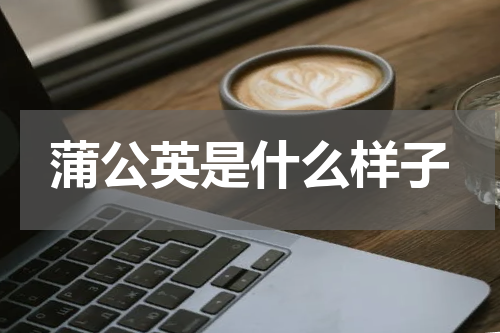 蒲公英是什么样子