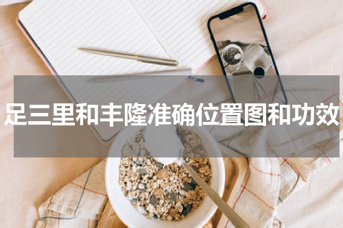 足三里和丰隆准确位置图和功效
