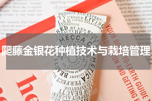爬藤金银花种植技术与栽培管理