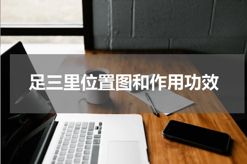 足三里位置图和作用功效