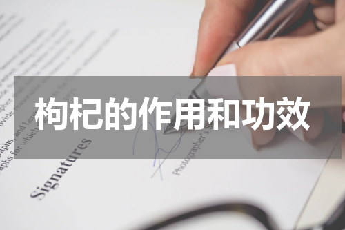枸杞的作用和功效
