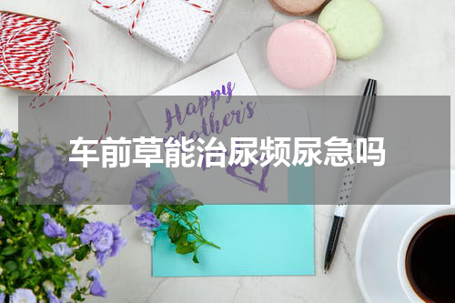 车前草能治尿频尿急吗