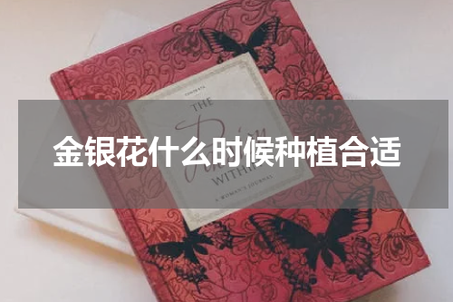 金银花什么时候种植合适