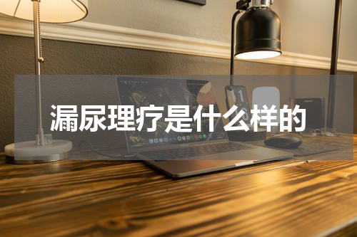 漏尿理疗是什么样的