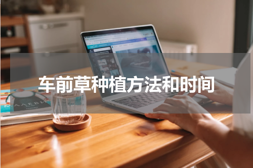 车前草种植方法和时间