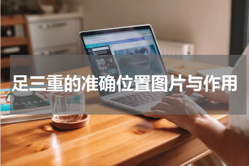 足三重的准确位置图片与作用