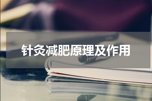 针灸减肥原理及作用