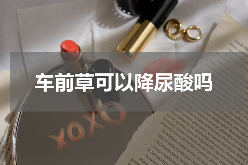 车前草可以降尿酸吗
