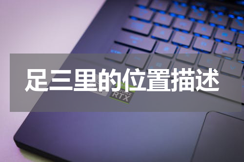足三里的位置描述