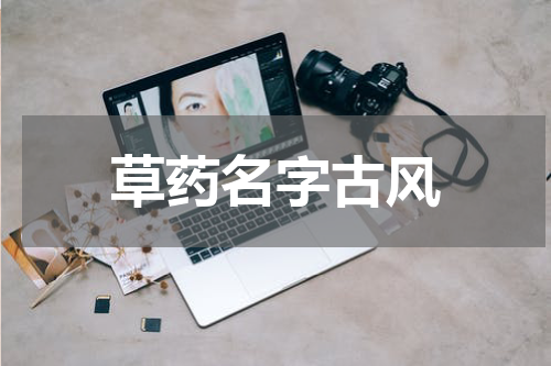 草药名字古风