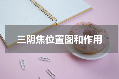 三阴焦位置图和作用