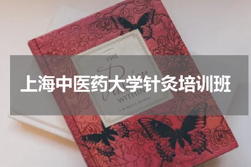 上海中医药大学针灸培训班