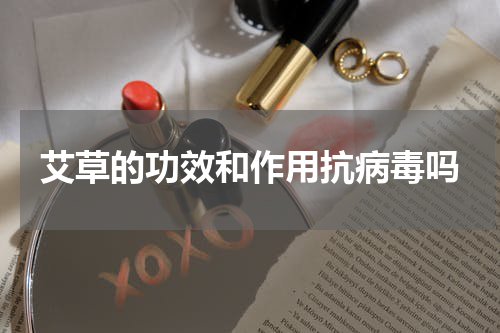 艾草的功效和作用抗病毒吗