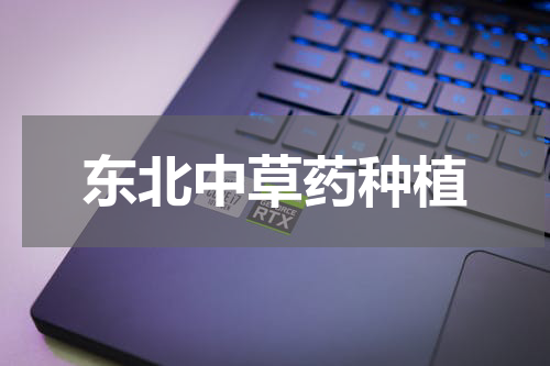 东北中草药种植