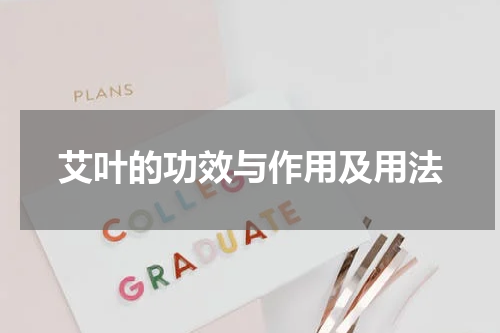 艾叶的功效与作用及用法