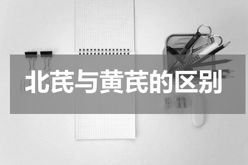 北芪与黄芪的区别