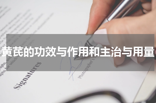 黄芪的功效与作用和主治与用量