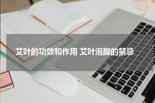 艾叶的功效和作用 艾叶泡脚的禁忌