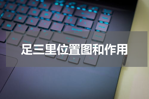 足三里位置图和作用